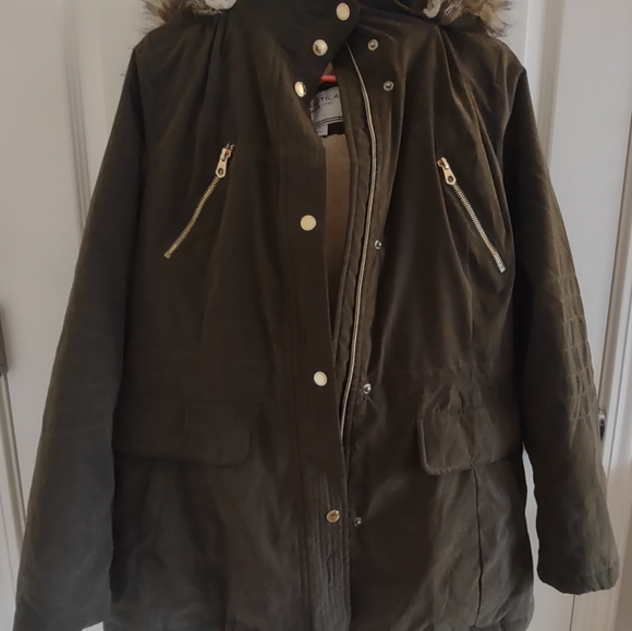 Jacket - Picture 6 of 8